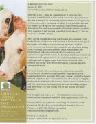 Article Image Alt Text