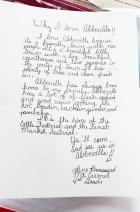 Article Image Alt Text